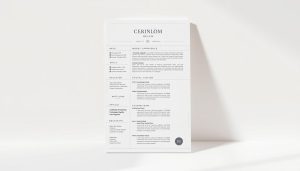 Vaga de emprego, oportunidades de emprego, trabalhe connosco, currículo